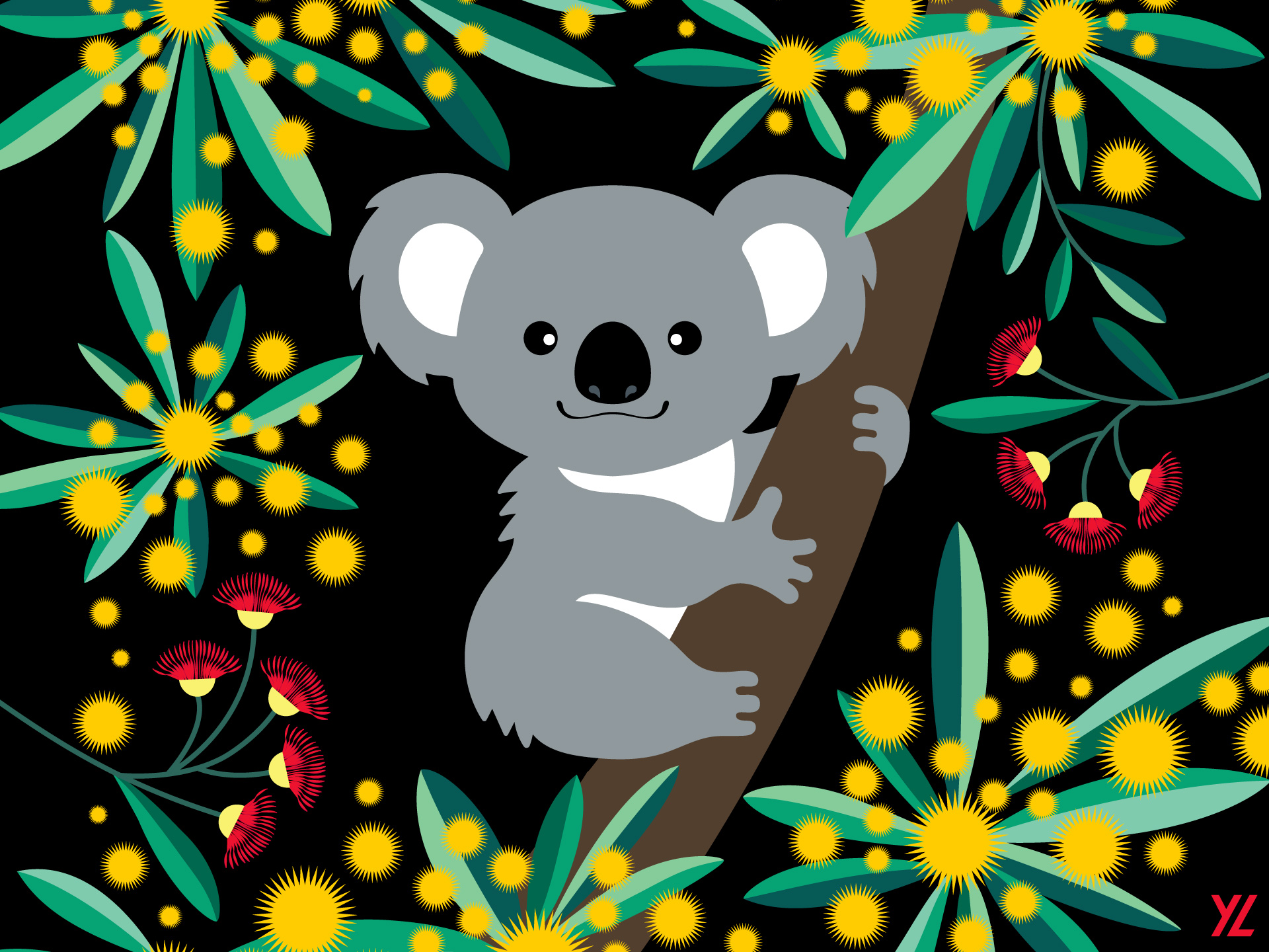 5_koala