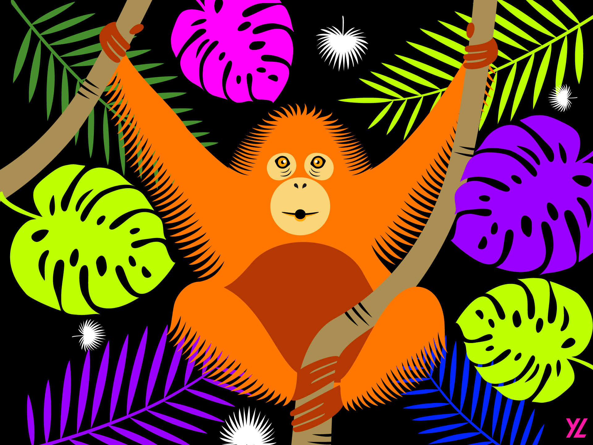 8_orangutan