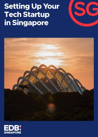 guide-to-setting-up-your-business-listing-400x560