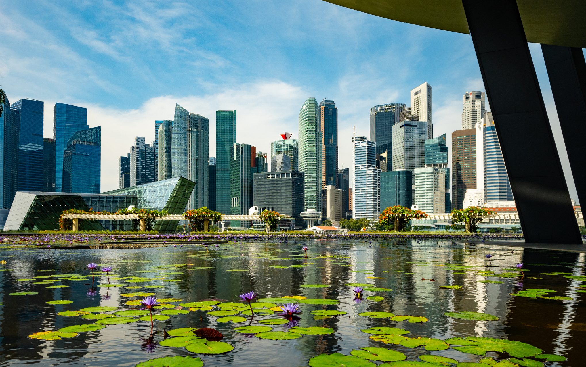 View of Singapore City Skyline with Pond in Foreground
